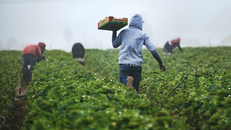 Le condizioni abitative dei migranti che lavorano nell’agro-alimentare